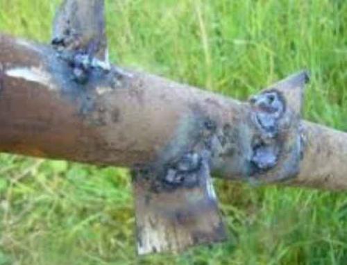 Самый простой и быстрый способ научиться варить электросваркой. Как научиться варить электросваркой за 1 день