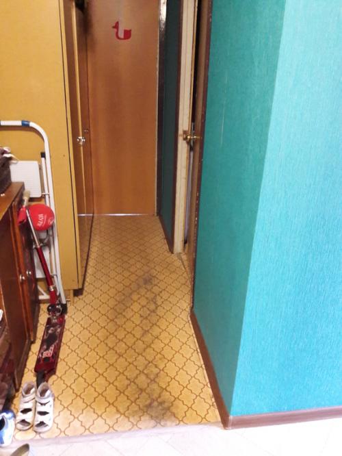 Плинтус и наличник одного цвета. помогите с цветом плинтуса!