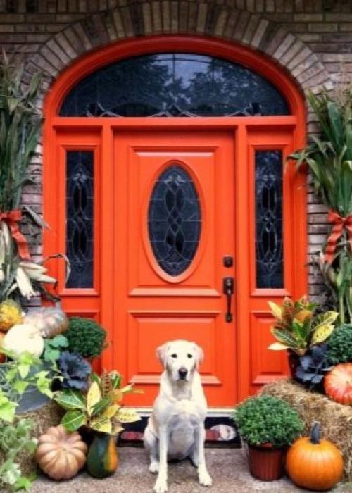 Установка двери без порога. Габариты дверных коробок 10