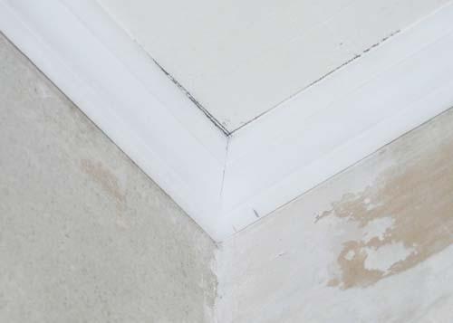 Как резать деревянный плинтус без стусла. Как потолочный плинтус в углах резать без стусла с первого раза